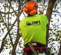 Stump’d Tree Services image 1